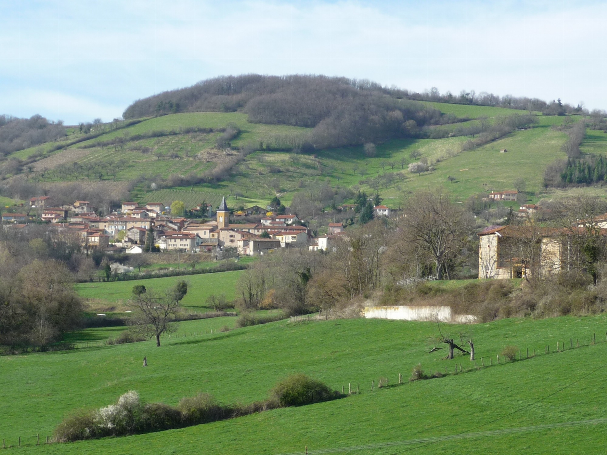 Vue sur le village de Saint-Julien-sur-Bibost