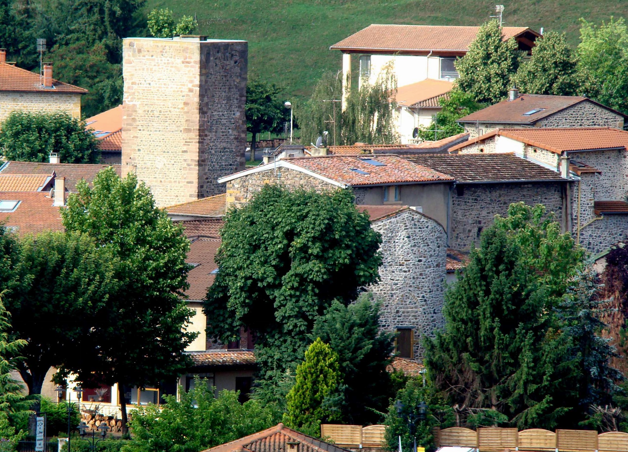Village de Savigny