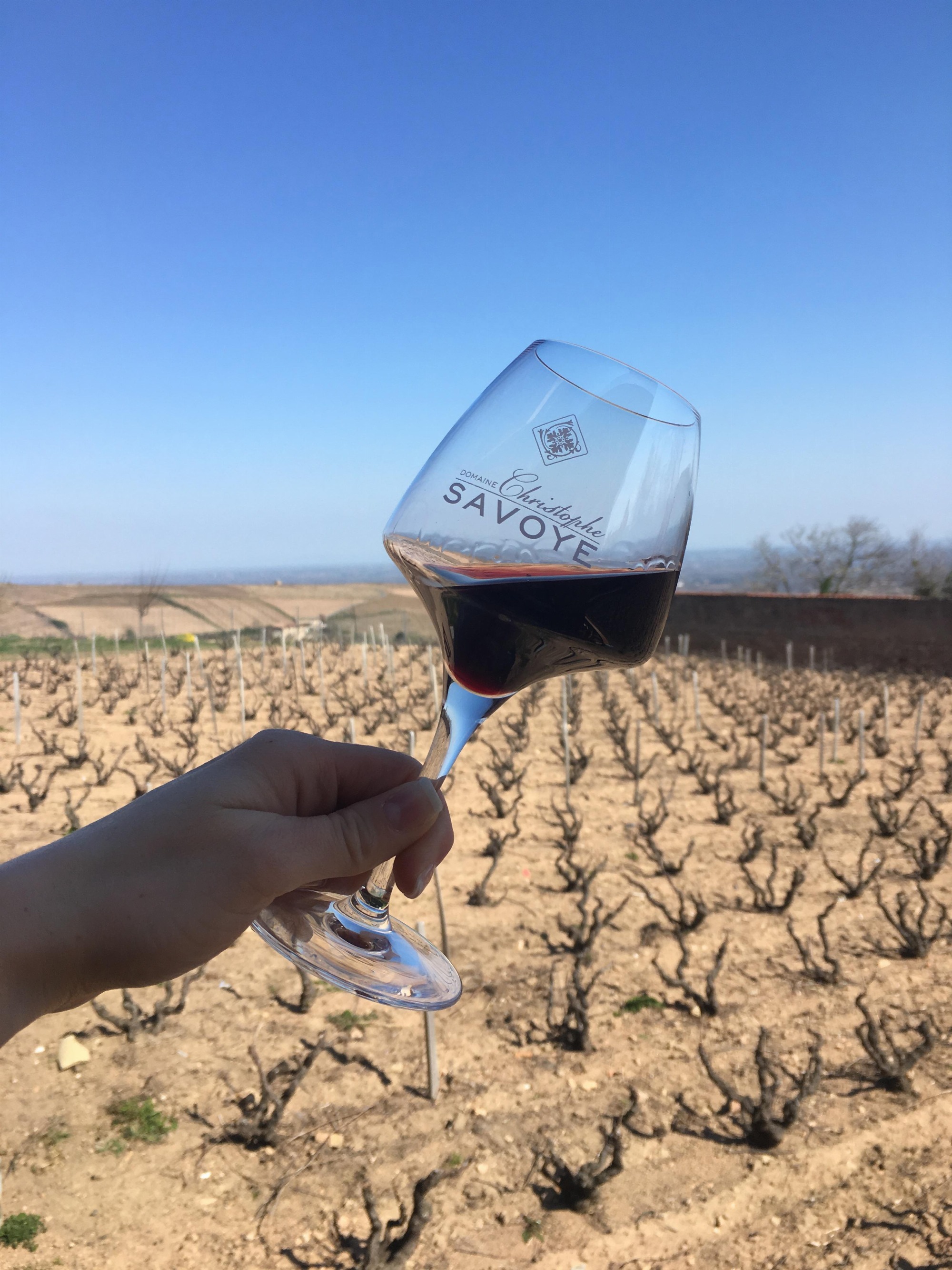 Vin randonée beaujolais domaine Christophe Savoye