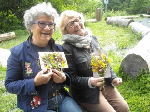 Tableau végétal sur les landes du Beaujolais