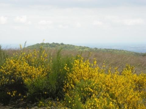 Vue sur les landes du Beaujolais