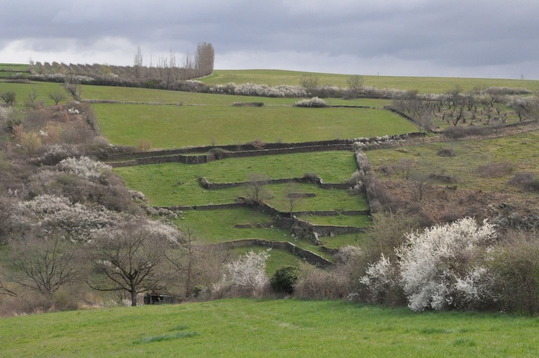 Conférence : Les murs en pierres sèches, beauté et marqueurs de nos paysages_Yzeron
