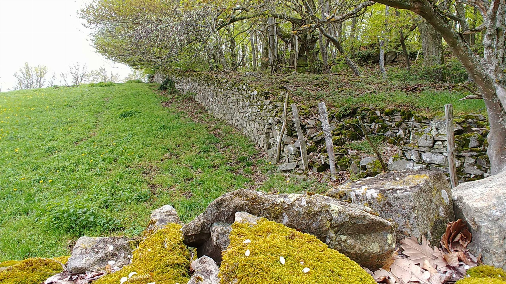 Conférence : Les murs en pierres sèches, beauté et marqueurs de nos paysages_Yzeron