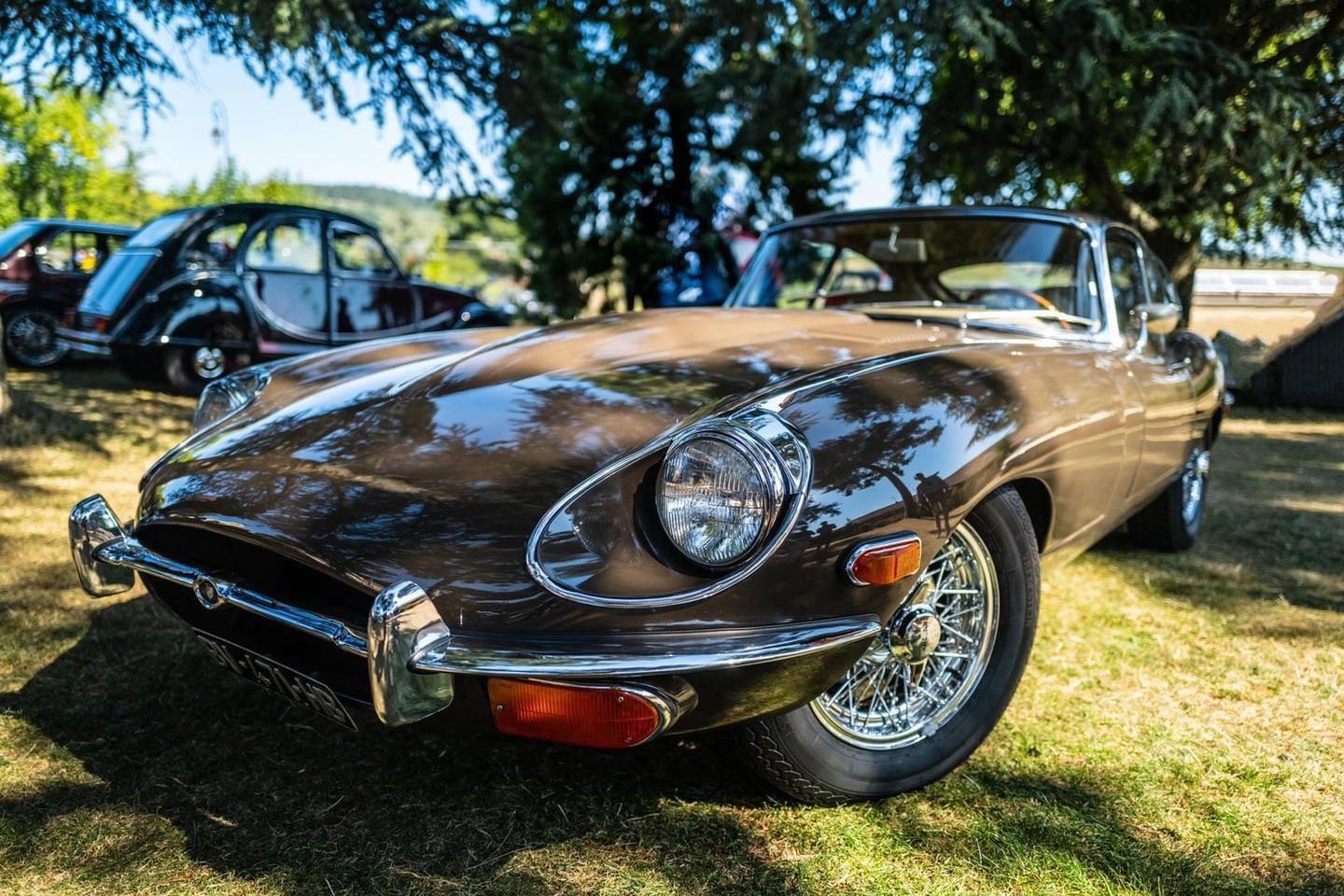 Exposition autos motos à Fleurie