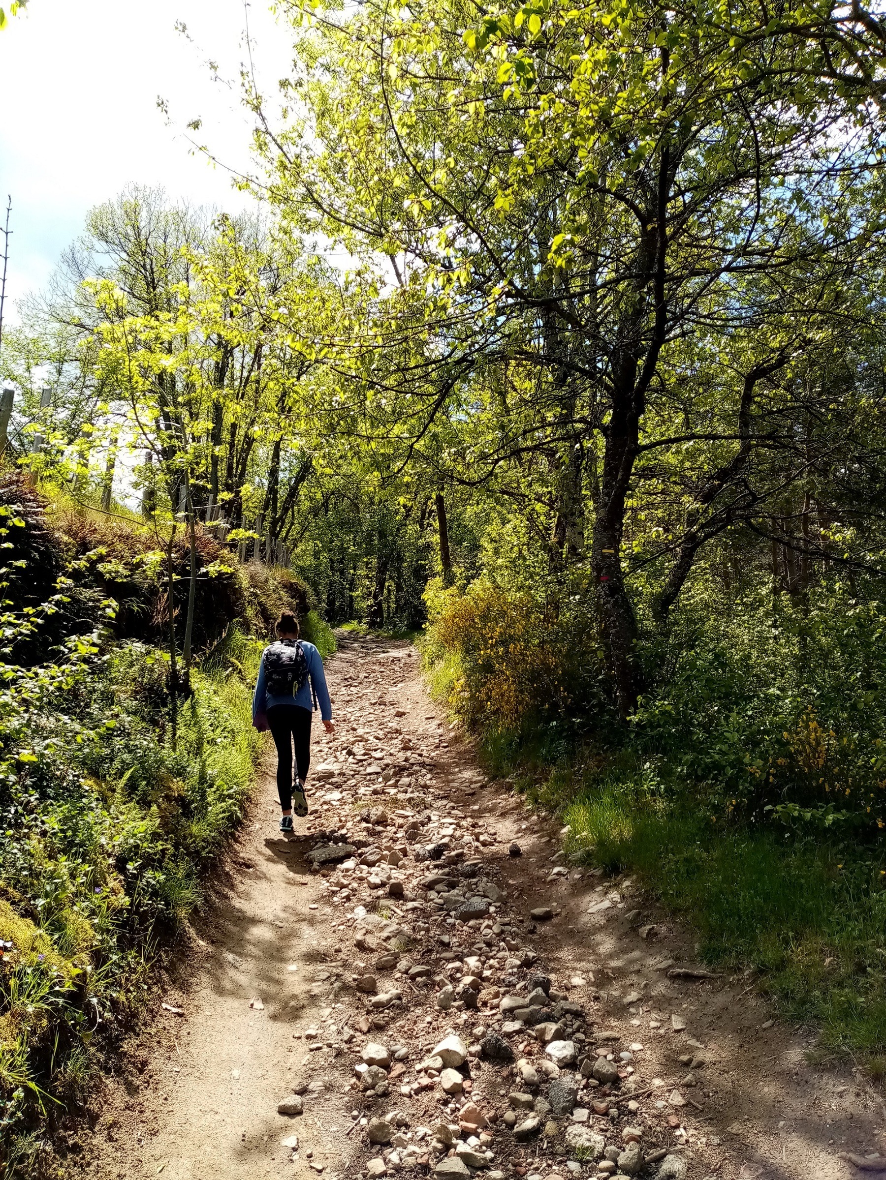 Sur les chemins