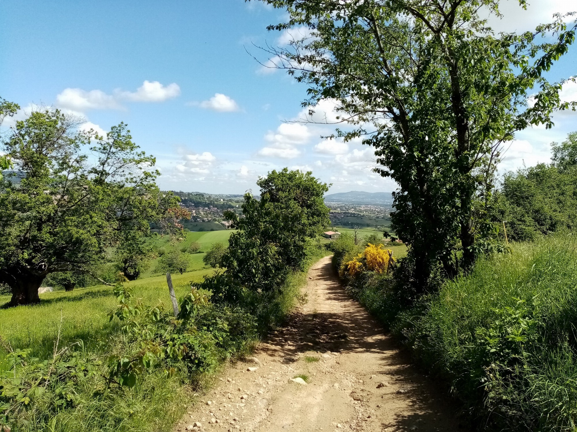 Sur les chemins