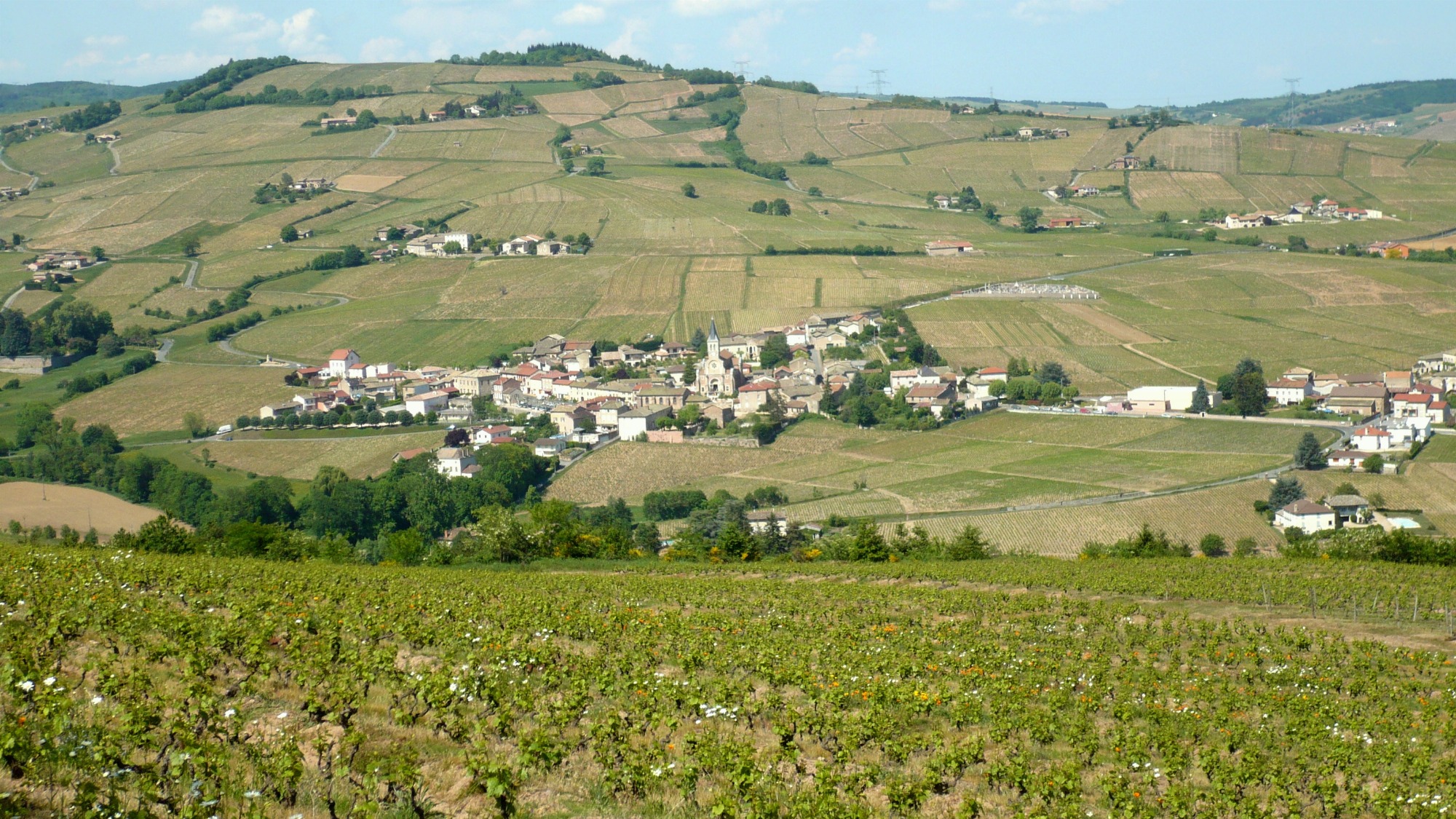 Vue générale