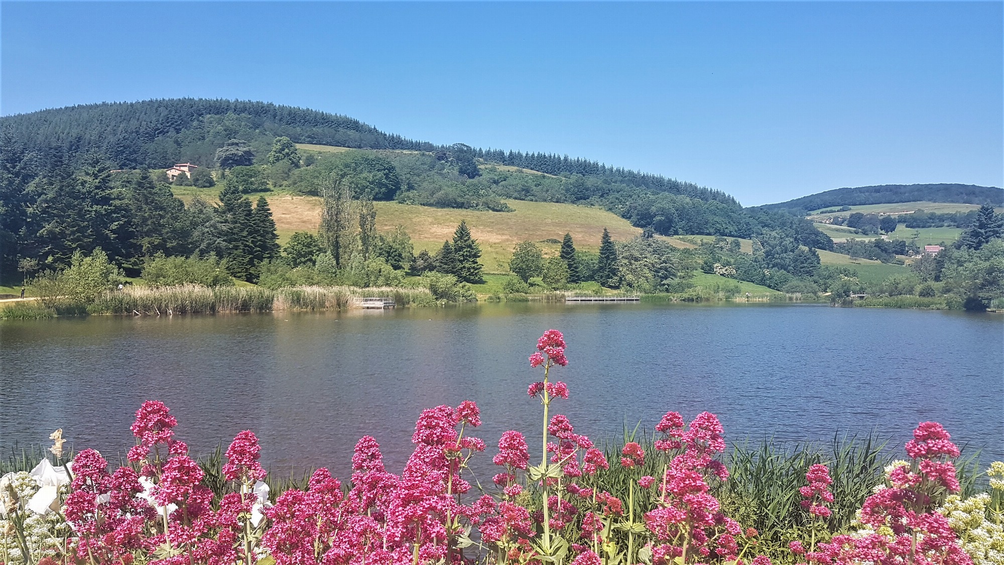 Lac du Ronzey