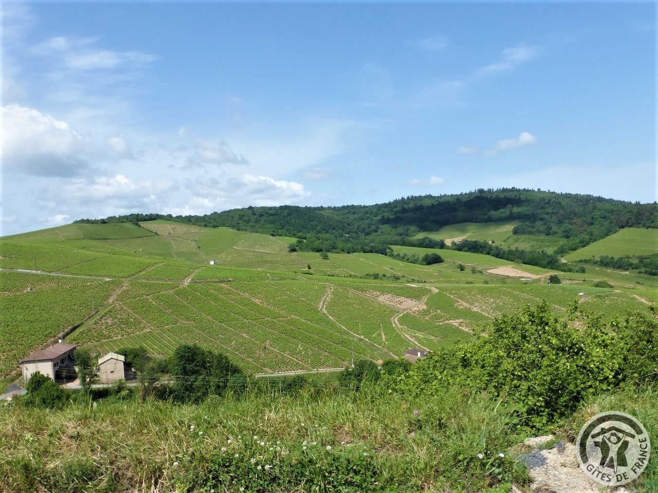 Chambres d'Hôtes 'Les Chambres de l'Escale' à Emeringes (Rhône - Beaujolais) : paysages du Beaujolais alentours.