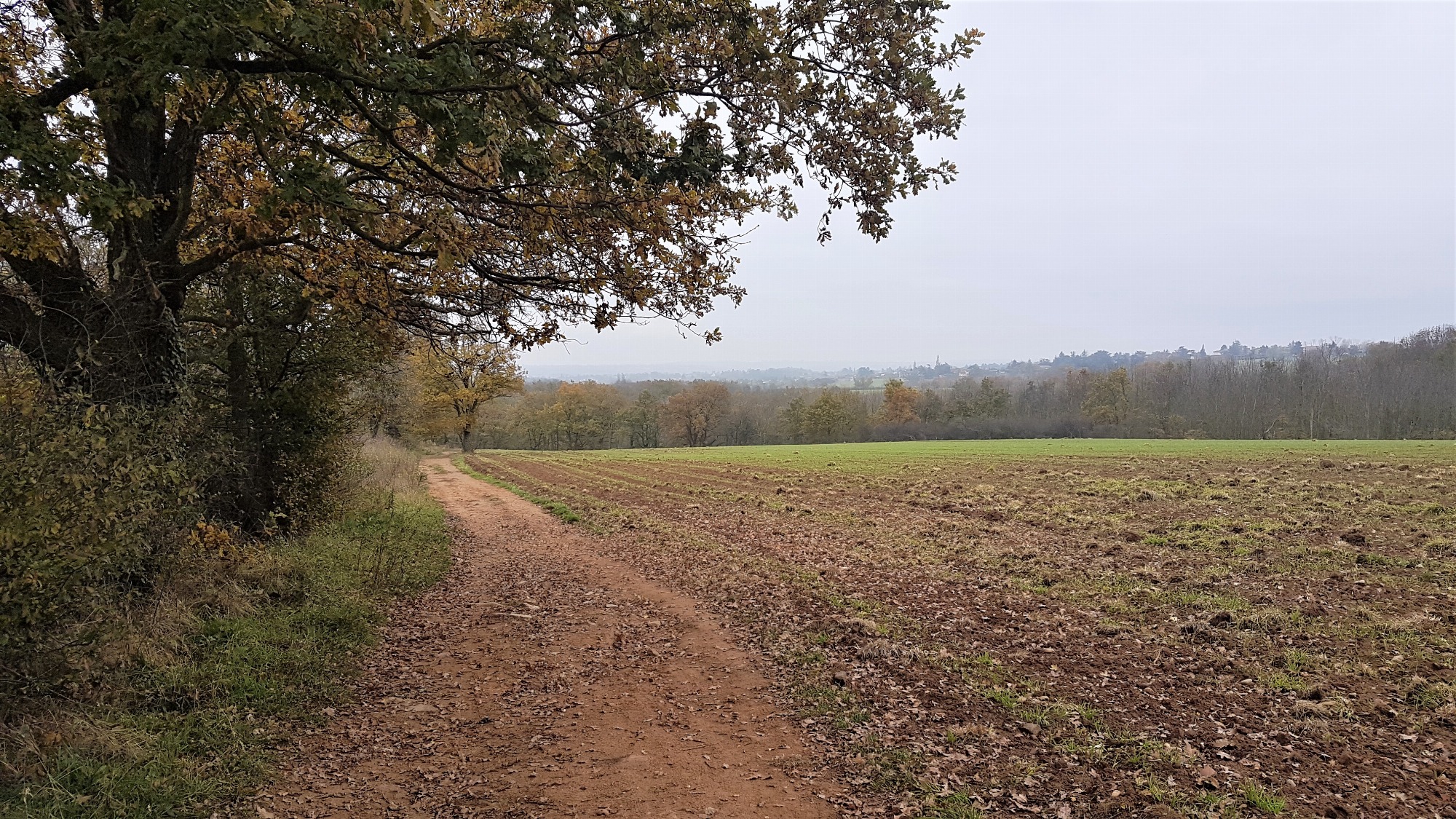 Balade en Vallons à Sainte-Consorce