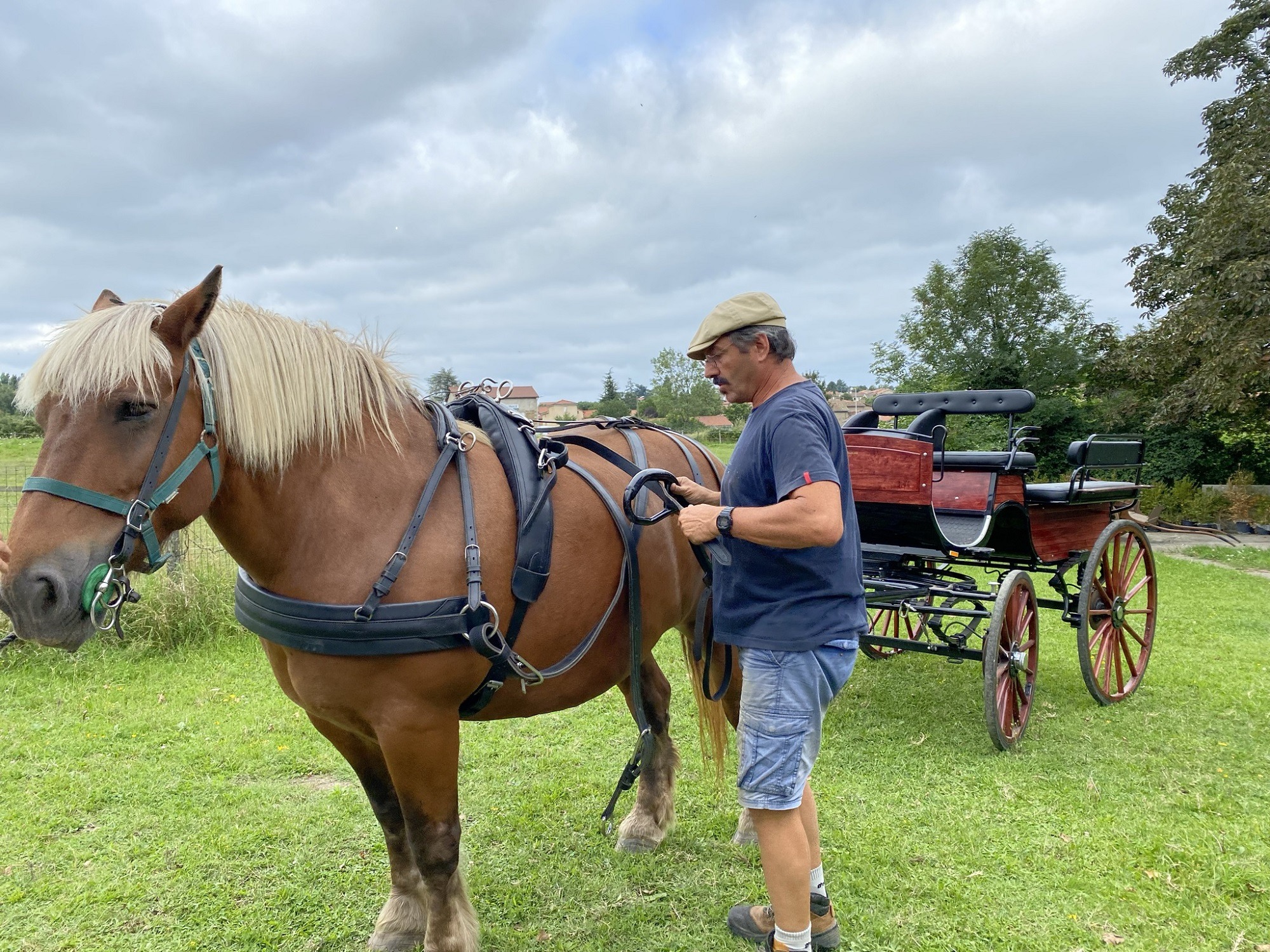 Têtes Hautes_STLAURENTD'AGNY