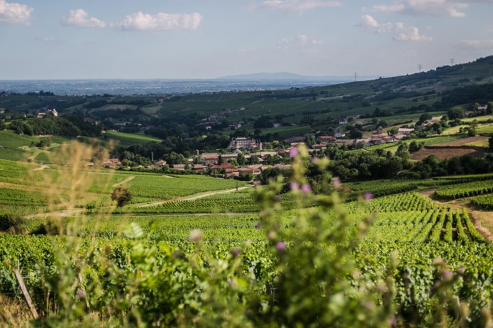 Balade à gyropode autour du Château de Chasselas