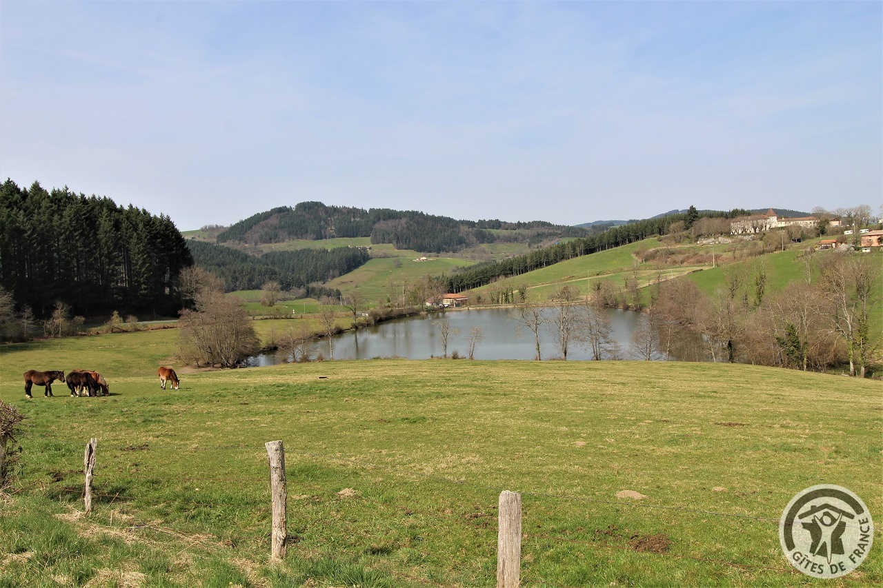 'Gîte de Basse Comté' (avec piscine chauffée) à Cublize (Rhône - Beaujolais Vert - Lac des Sapins) : l'étang de Magny juste à côté du gîte.