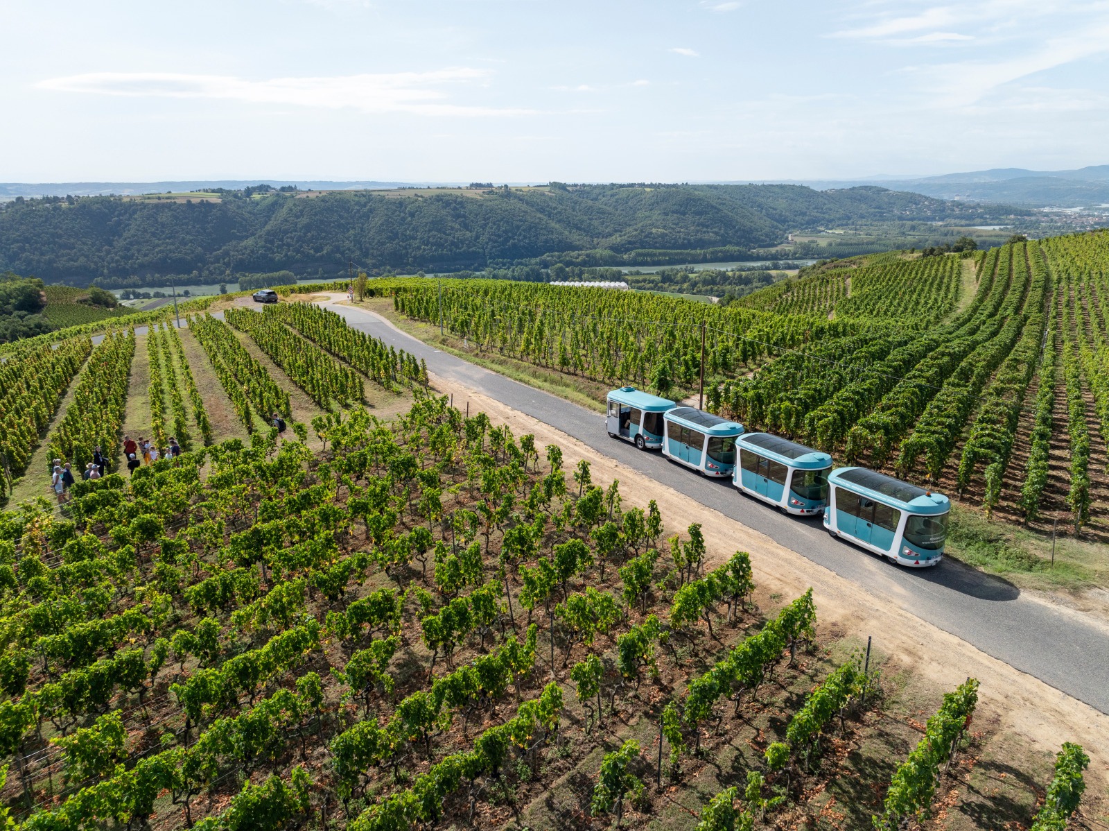 Côte-Rôtie Tour_Ampuis