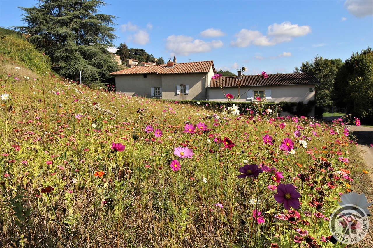 Gîte 'La Glycine 2' (pour 8 personnes) à Vaux-en-Beaujolais (Rhône - Beaujolais vignobles) : l'accès depuis le village.