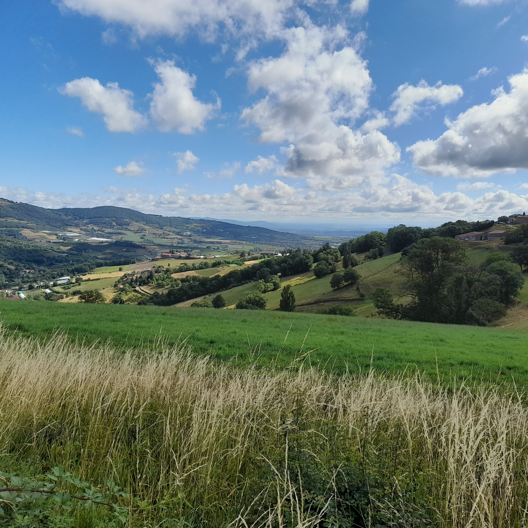 Le Tacot,Voyage éphémère_Rontalon