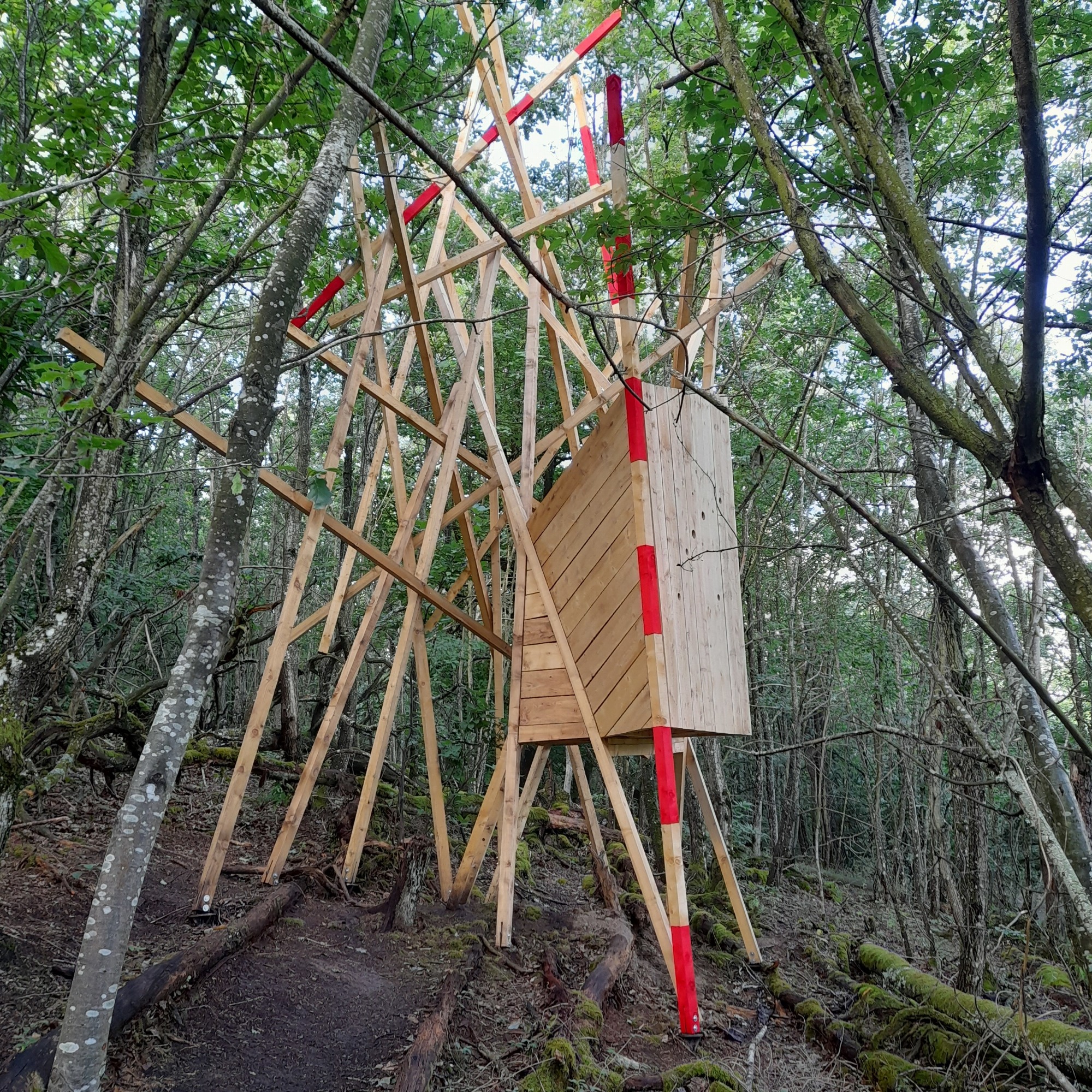 La rencontre_Le Tacot,Voyage éphémère_Rontalon
