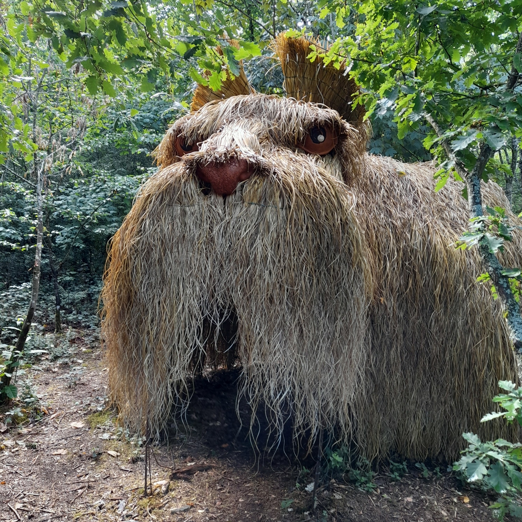 Le monstre pelucheux_Le Tacot,Voyage éphémère_Rontalon