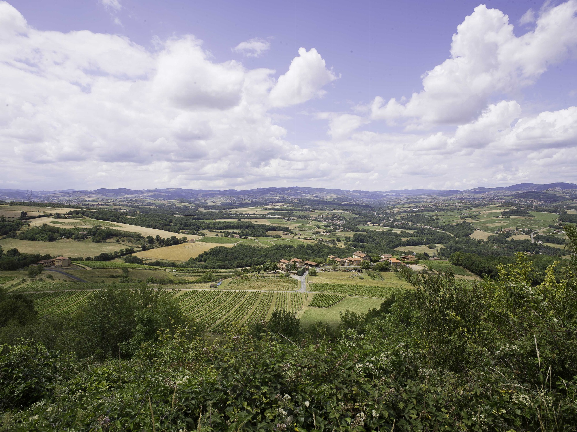 Paysage