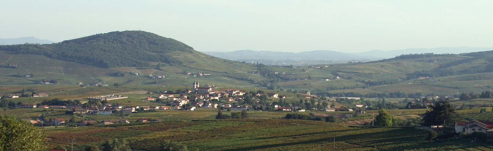 Vue village de Régnié-Durette