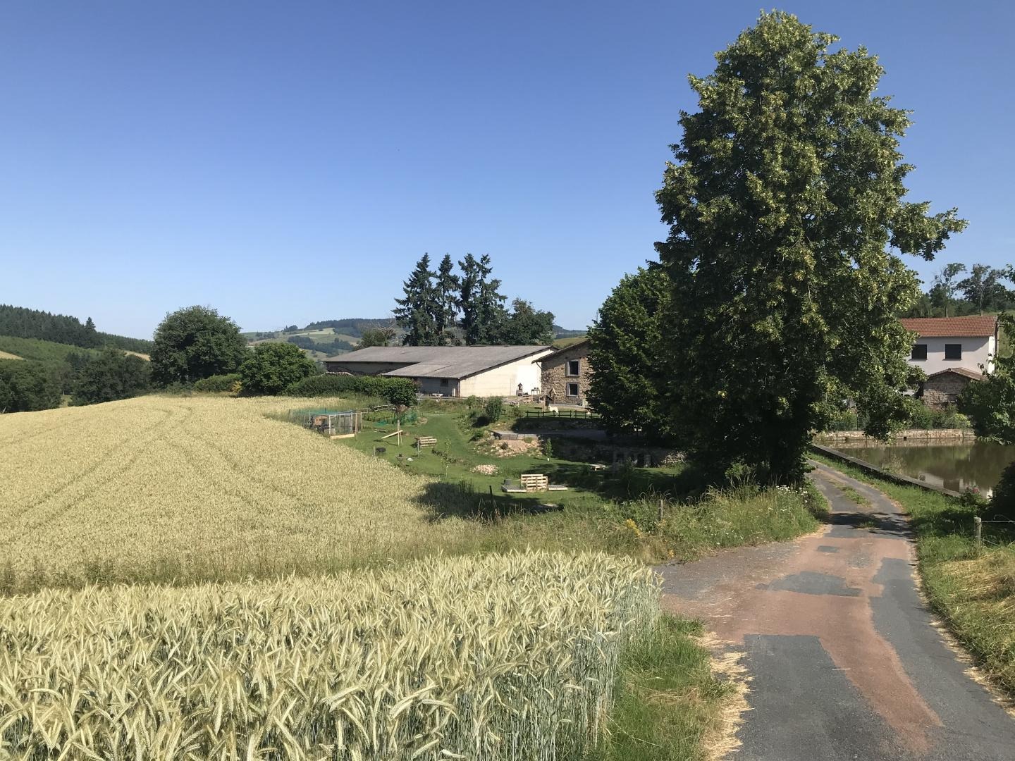 Chambres d'Hôtes 