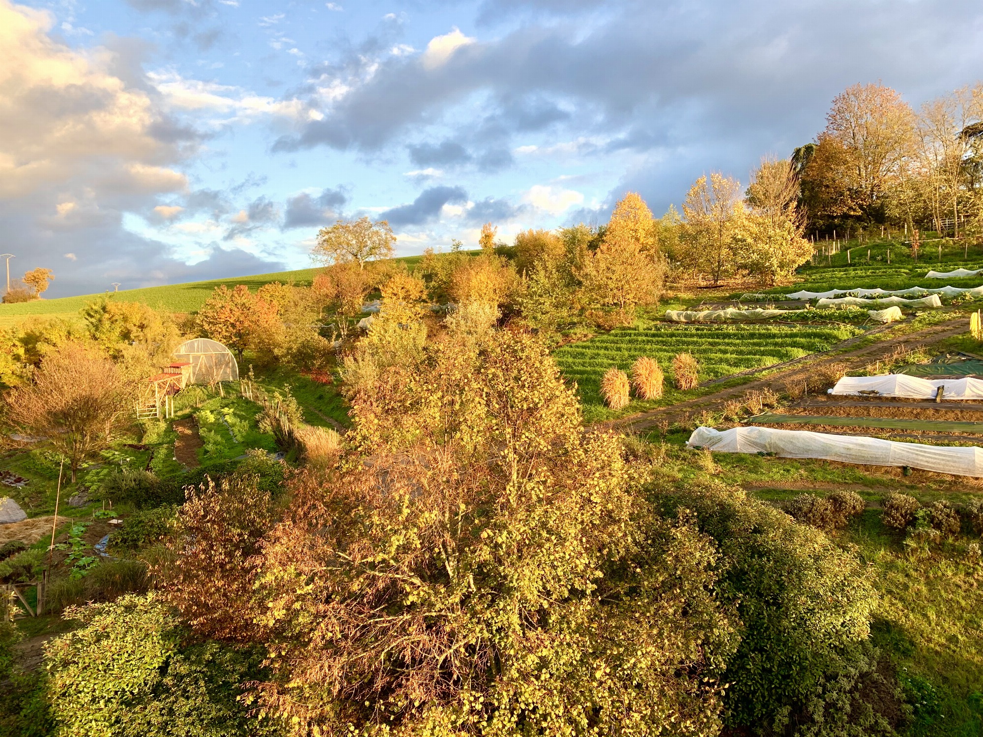 La ferme en automne