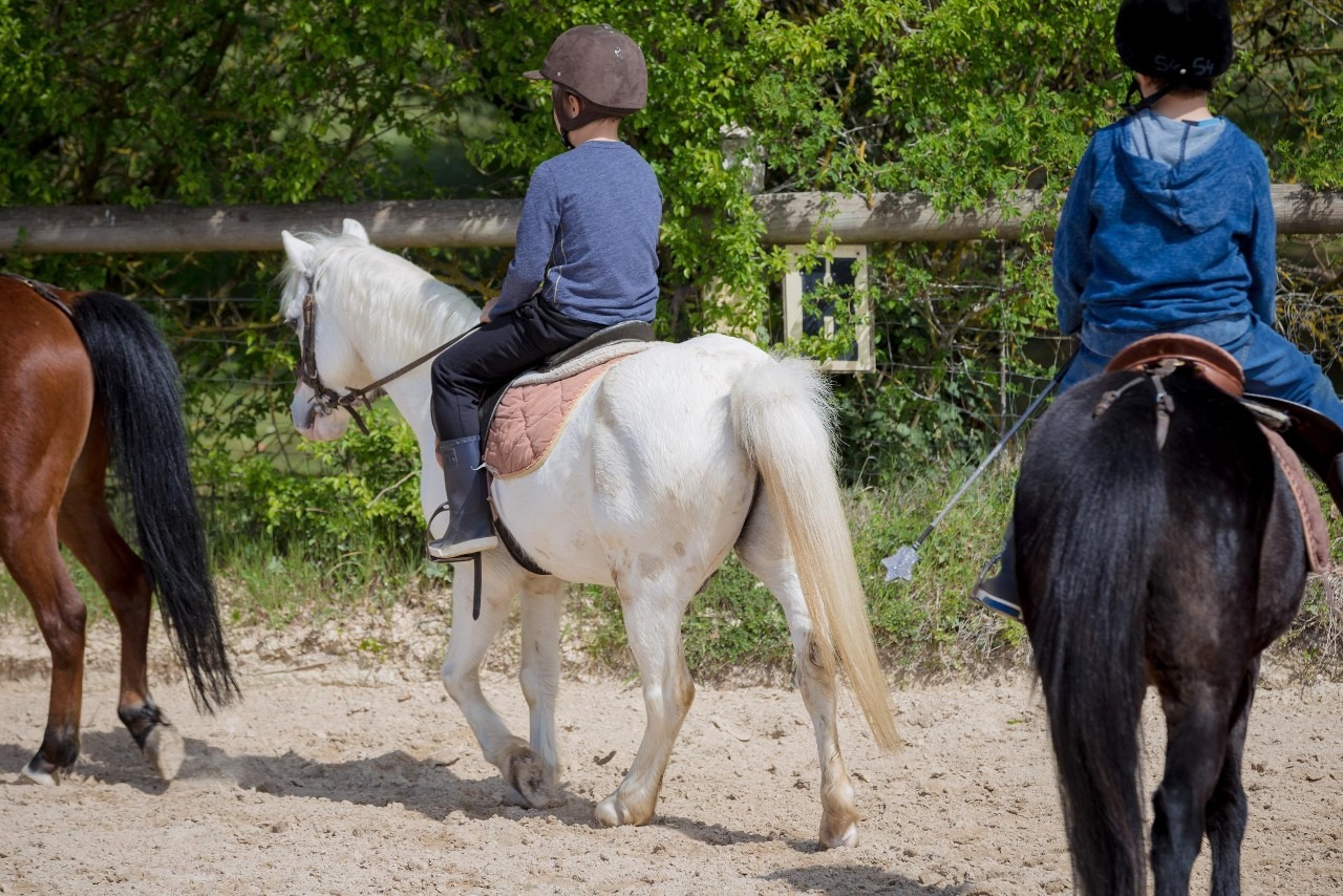 Poney club Mornant