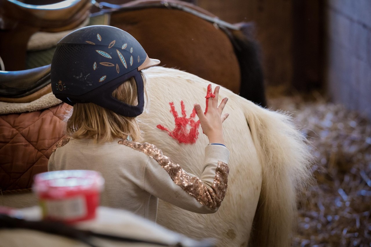 Poney club Mornant