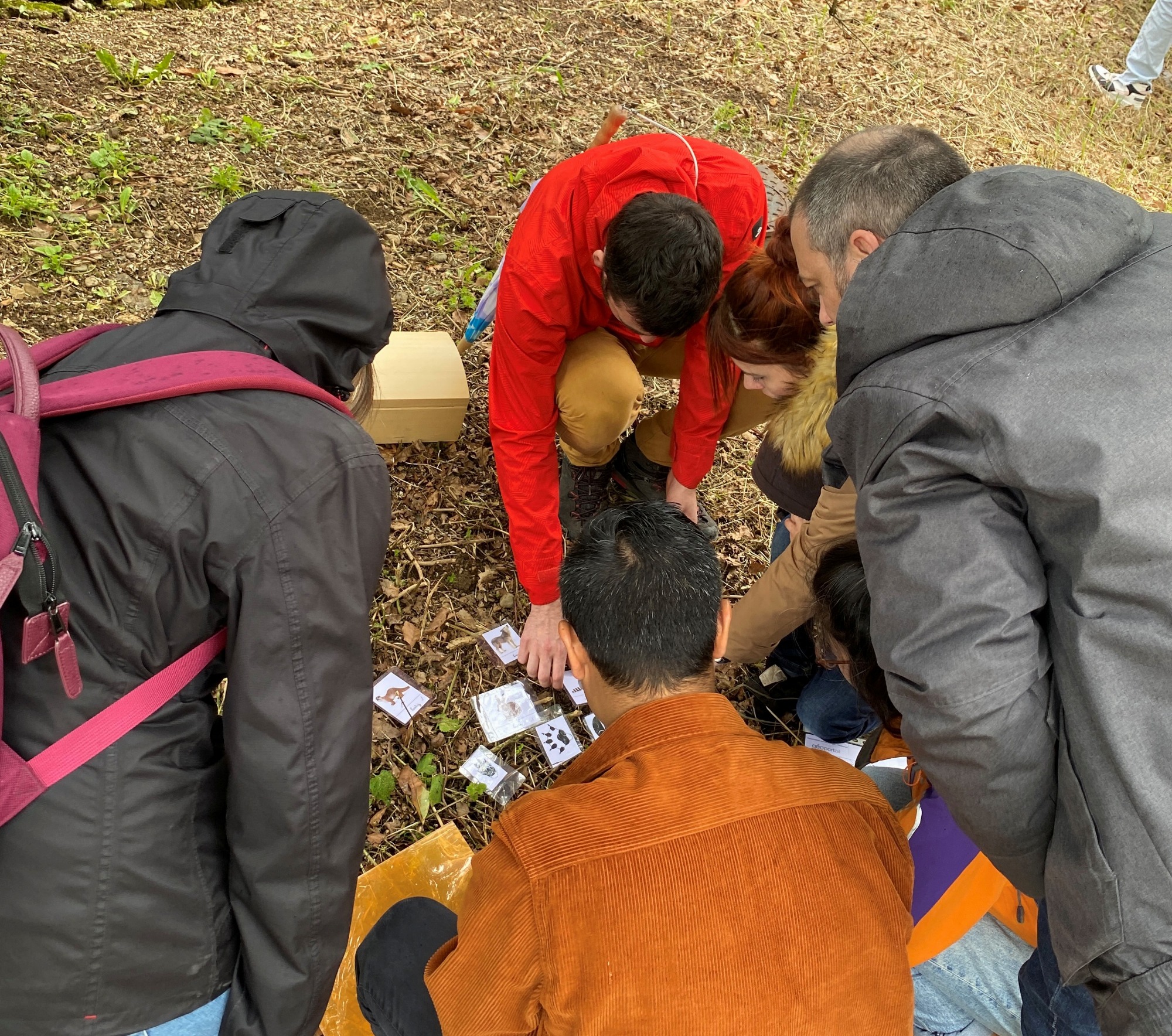 Escape game nature_L'Arbresle