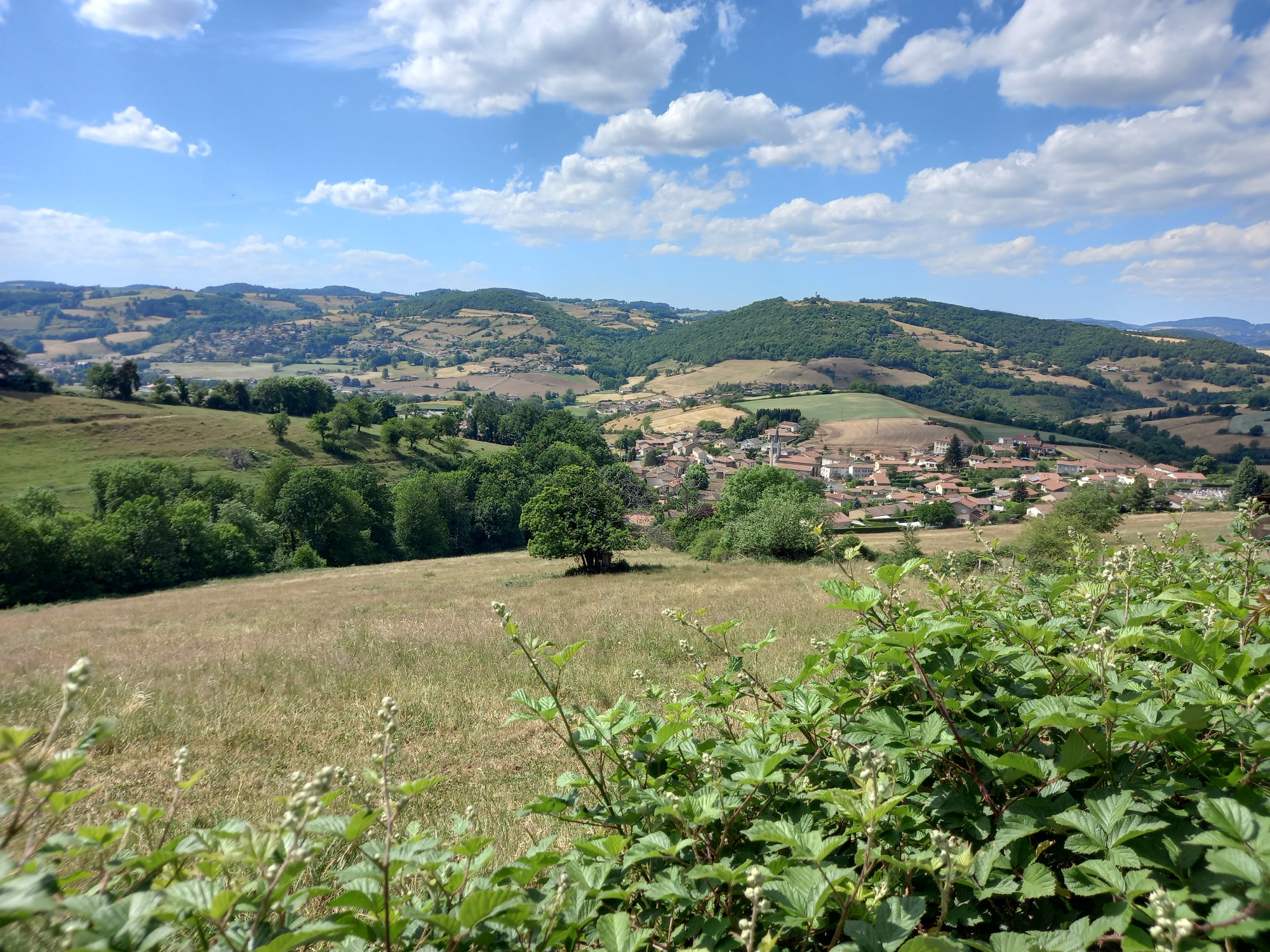 Vue depuis Saint-Genis-l'Argentière