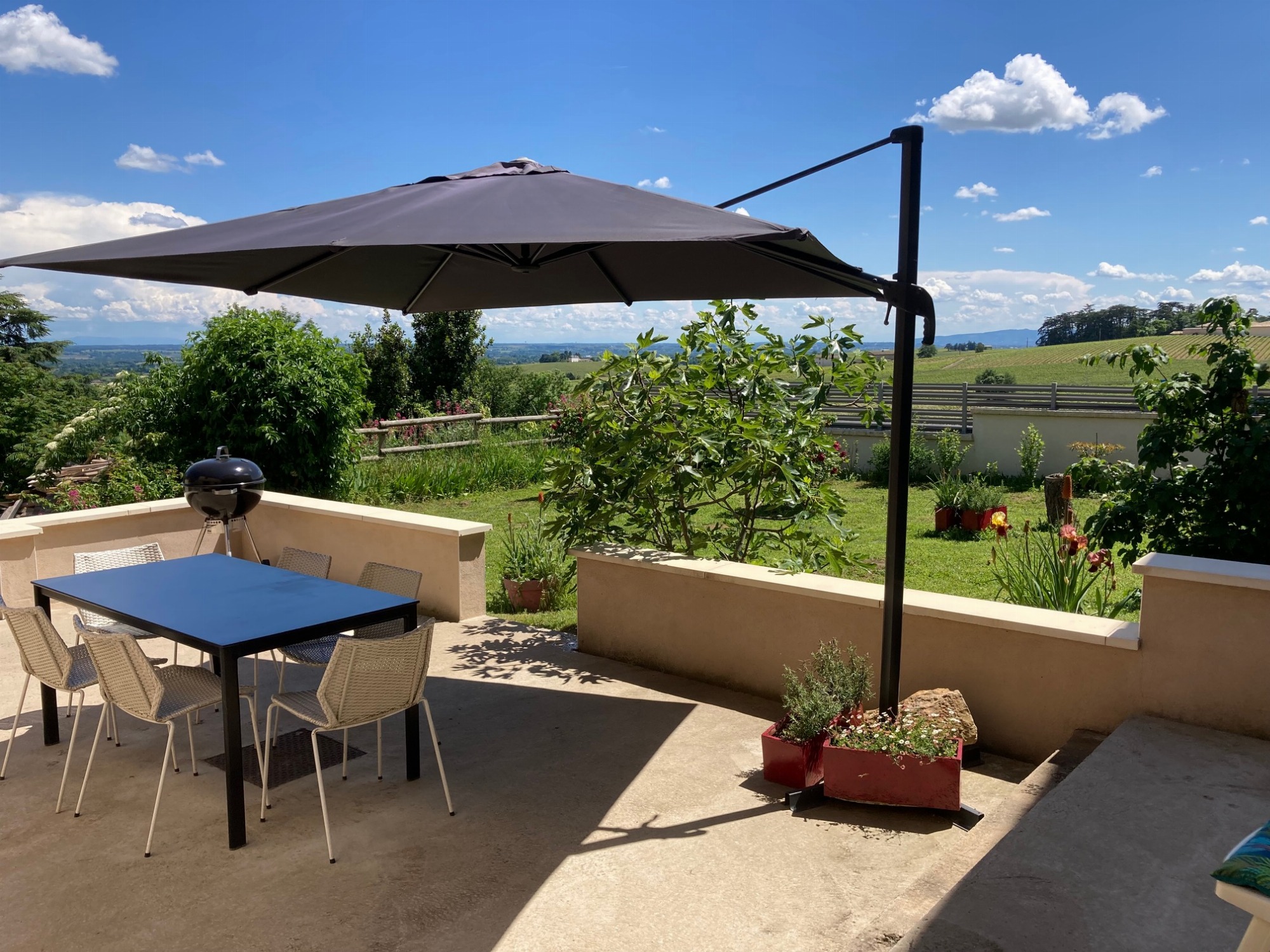 VUE SUR LE JARDIN ET LES VIGNES