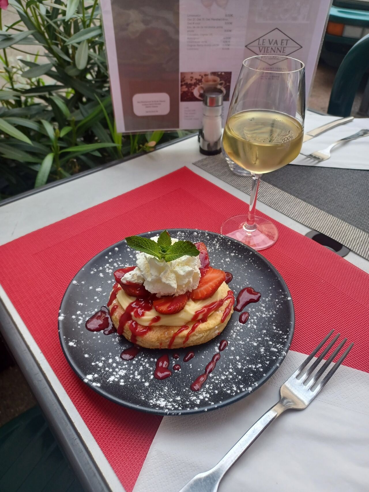 Le Va et Vienne_Vienne