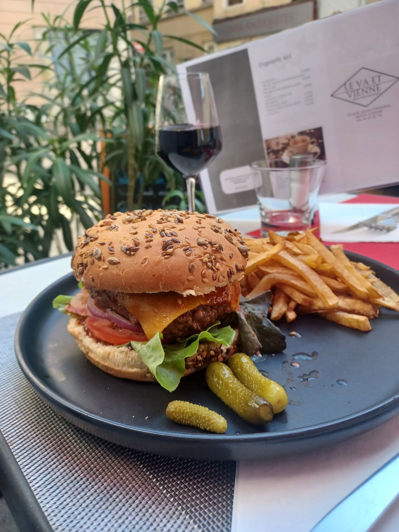 Le Va et Vienne_Vienne