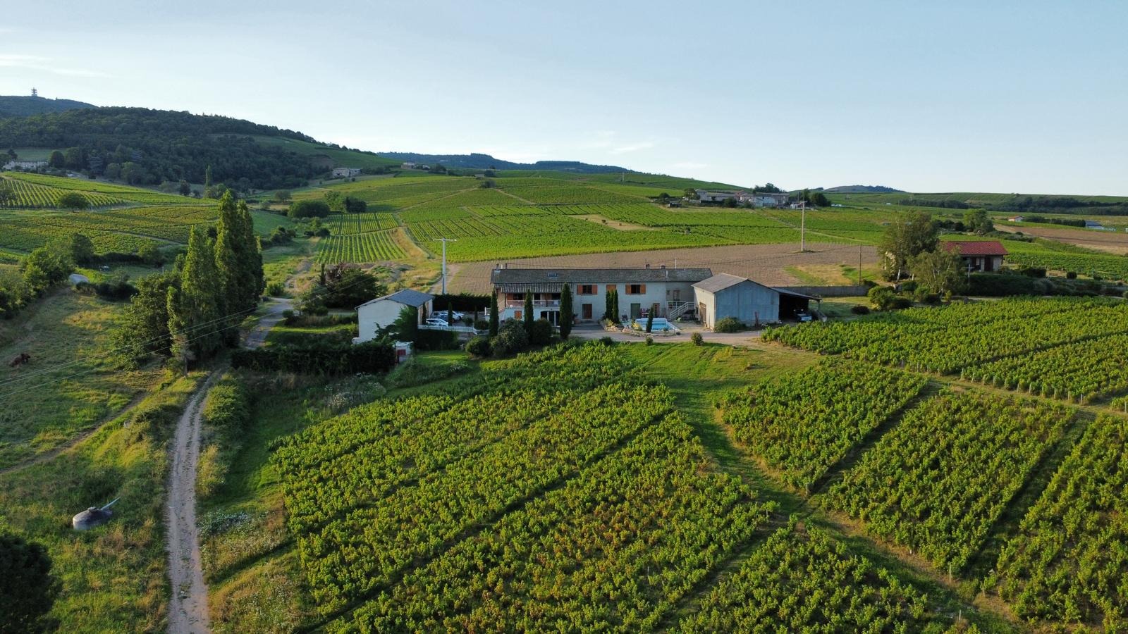 Vue arienne du domaine