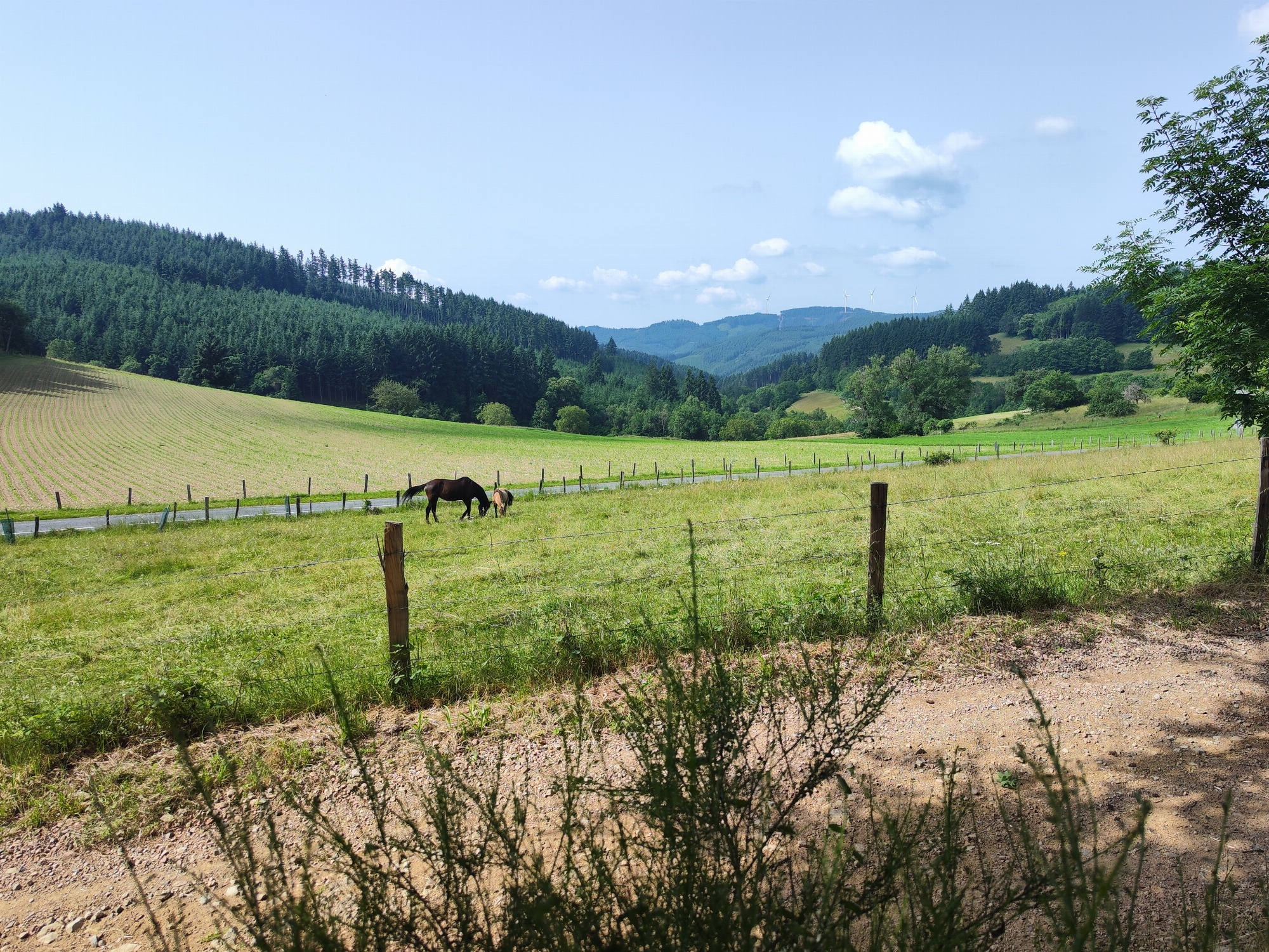 Meine erste Sternennacht_Tarare