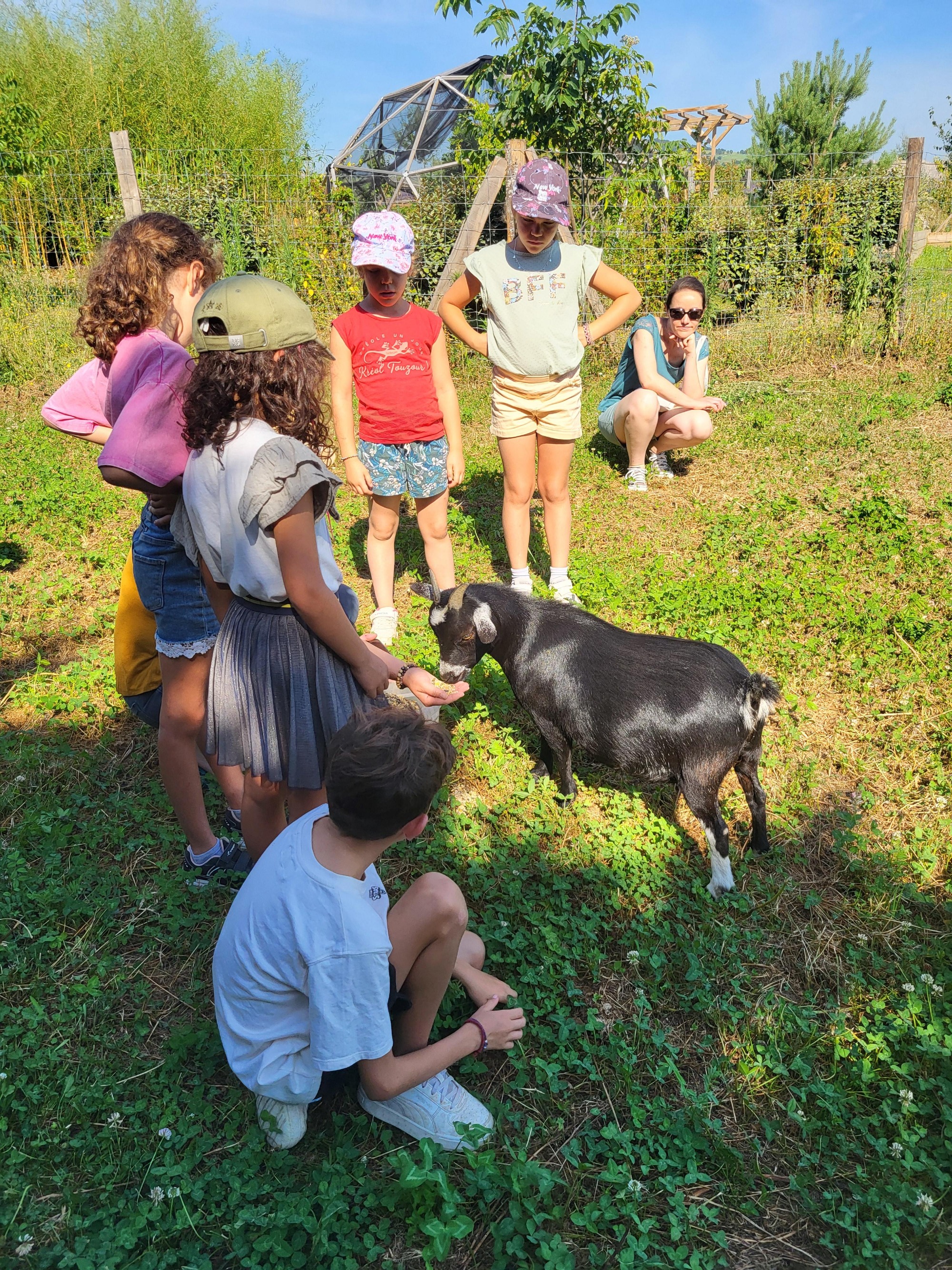 Visite/ atelier ludique à la ferme miélifique_Mornant