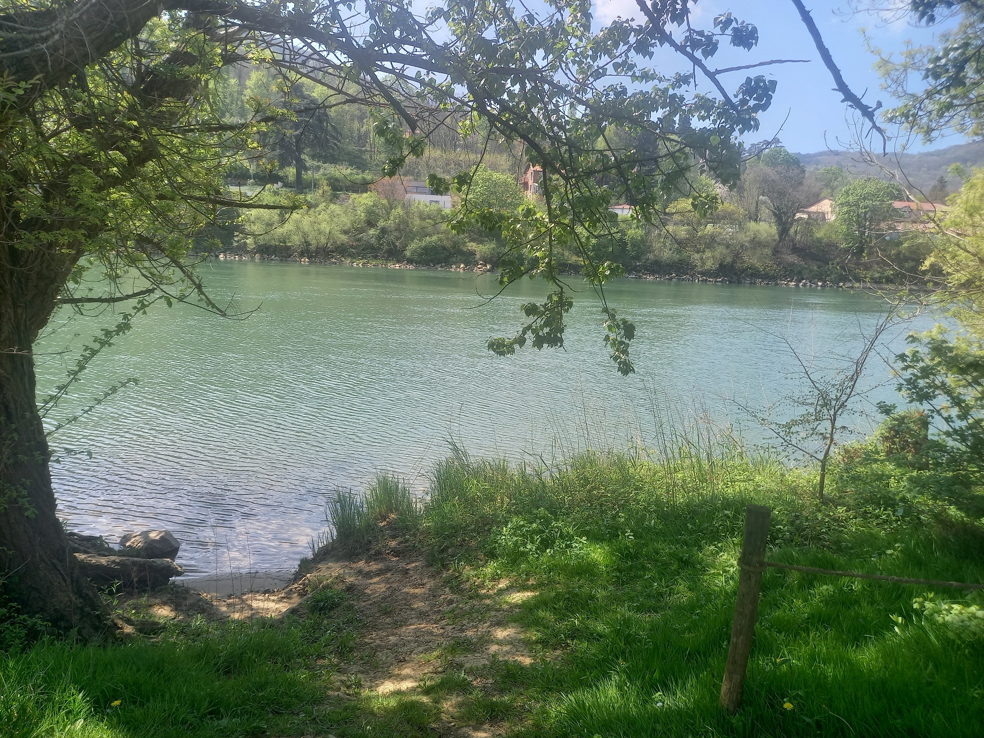 Pêcher la Saône à Rochetaillé