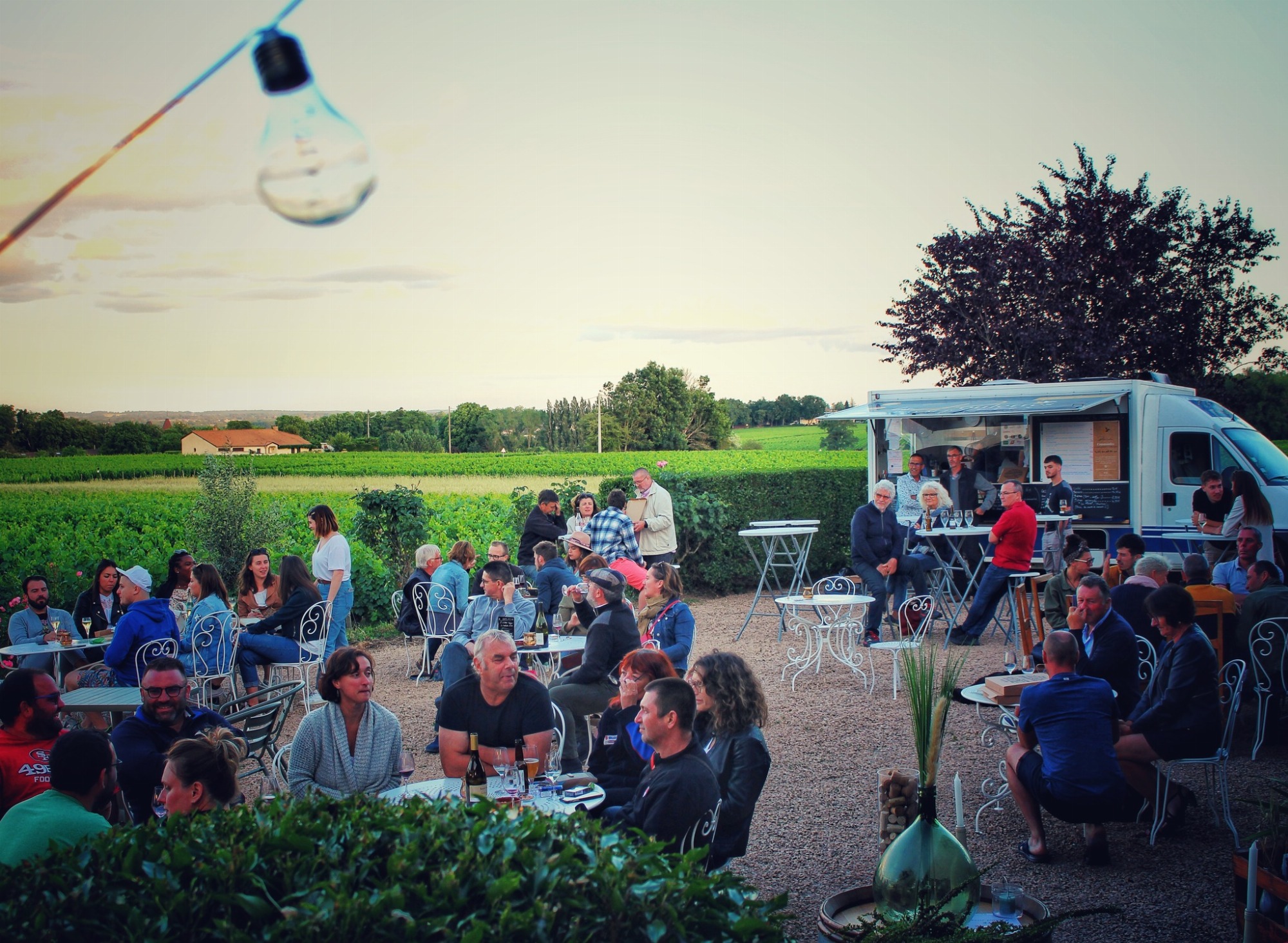 Le Moulin en Rose_Chaintré