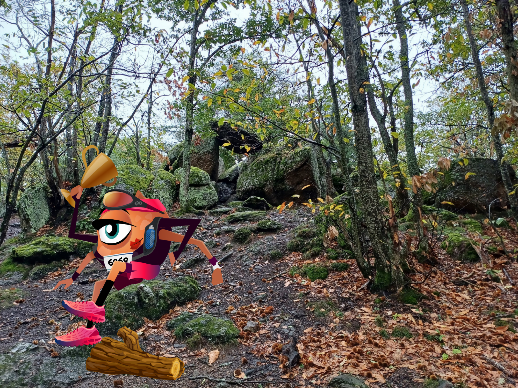 Les Gnolus - Tous aux jeux Gnolympiques !_Vaugneray