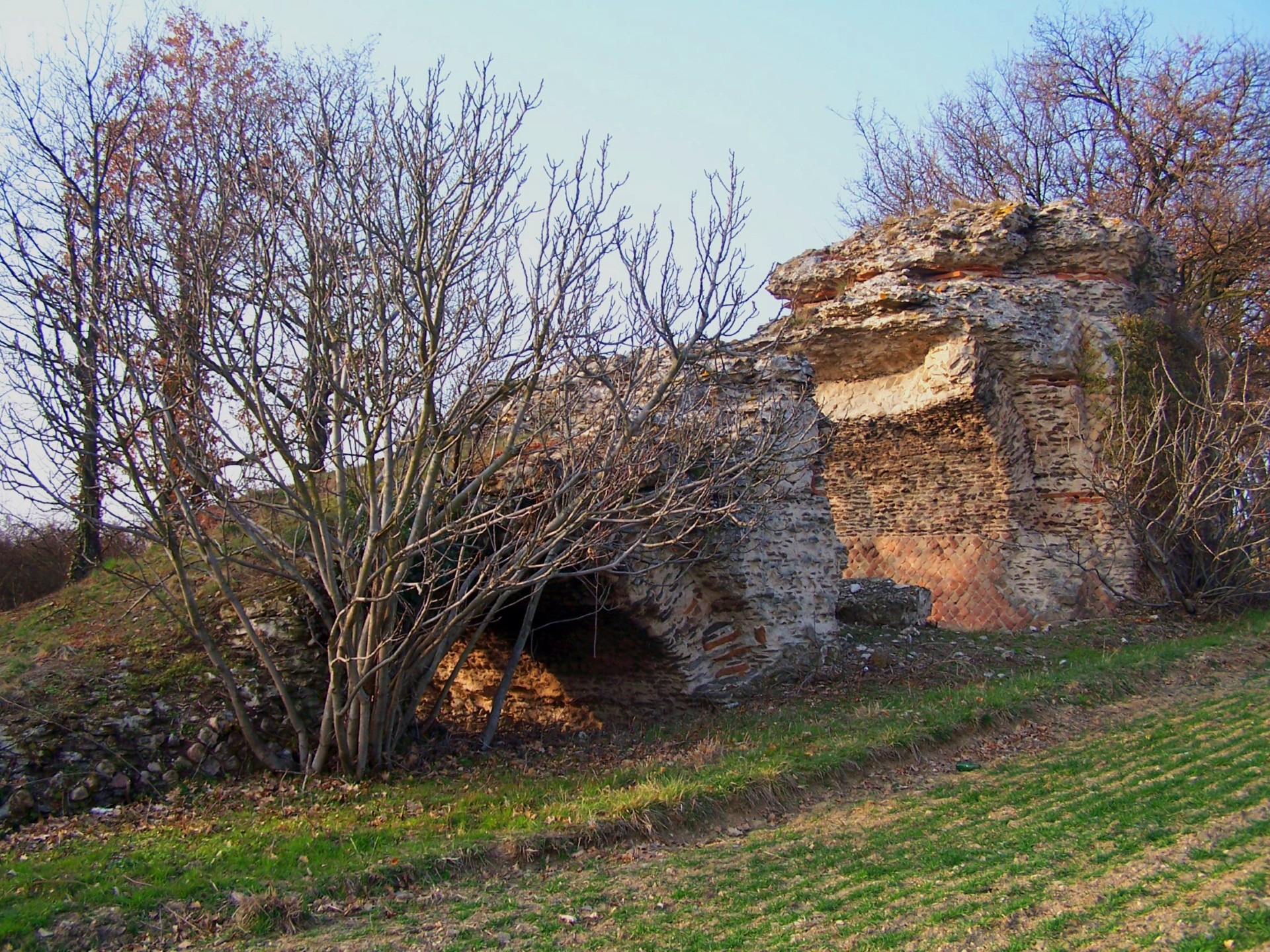 Séance dédicace du livre de J.C. Litaudon_Chaponost