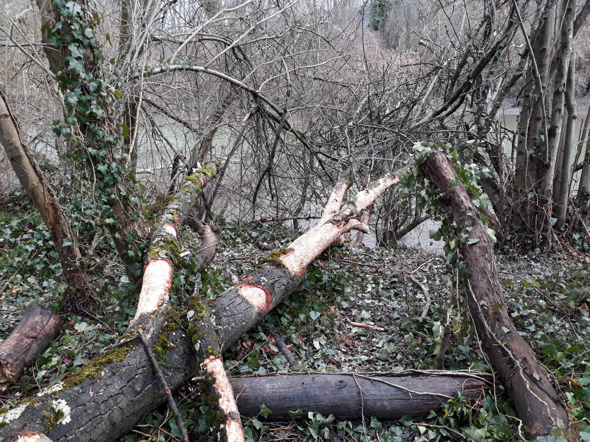 Traces et Indices_Tupin-et-Semons