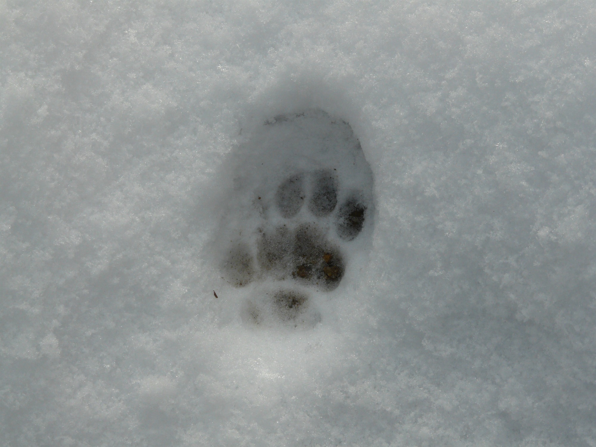 Traces et Indices_Tupin-et-Semons