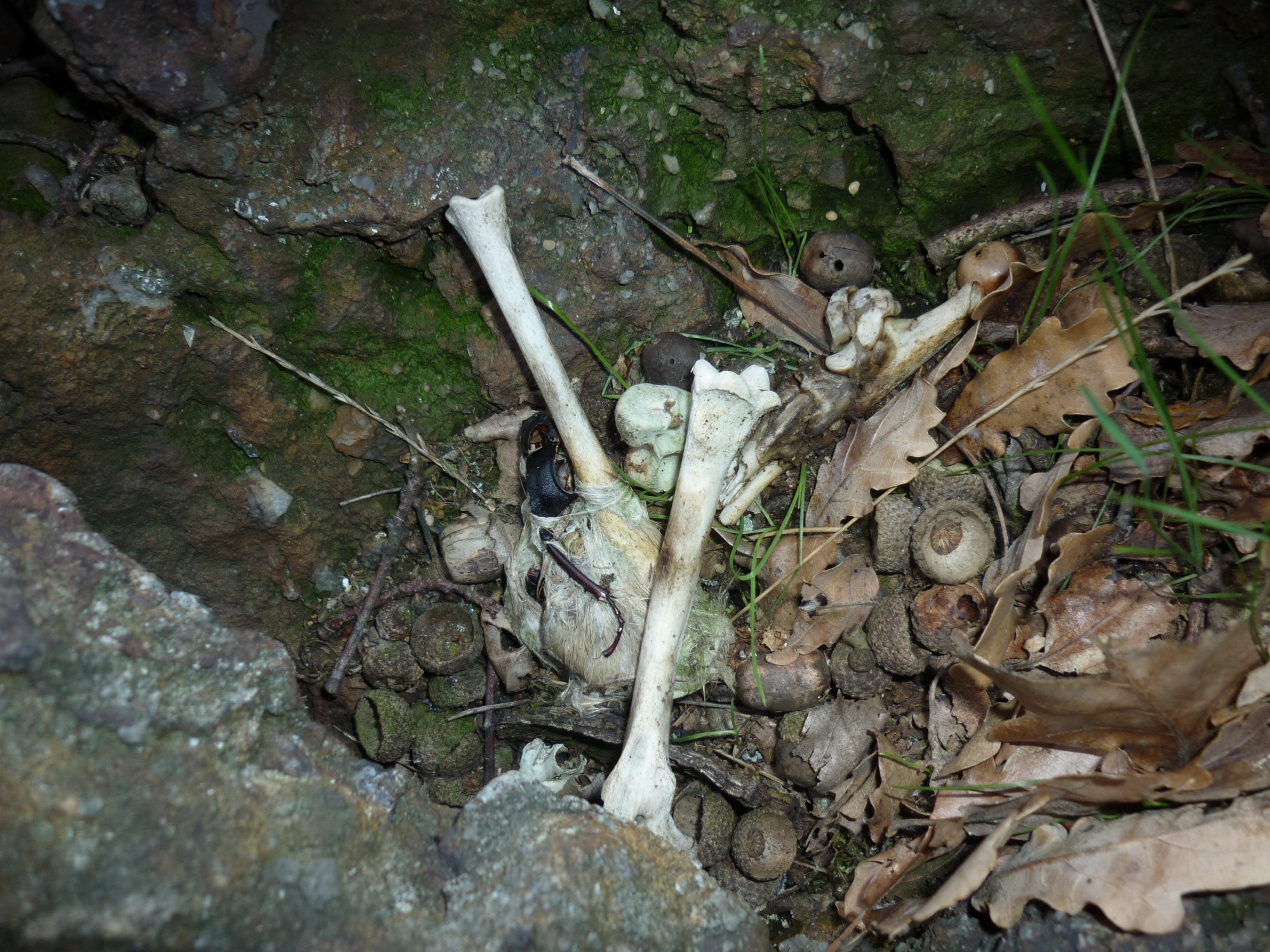 Traces et Indices_Tupin-et-Semons