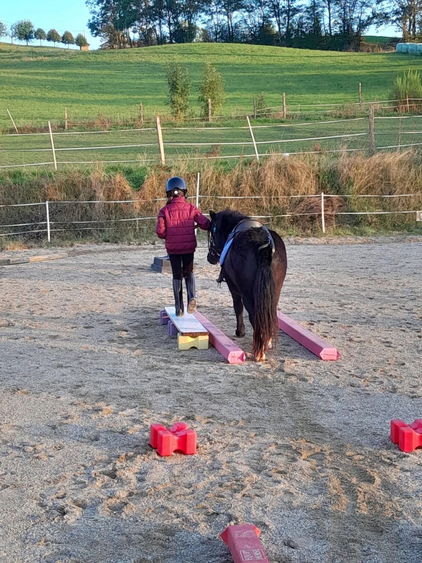 Séances baby / Junior / G1/2