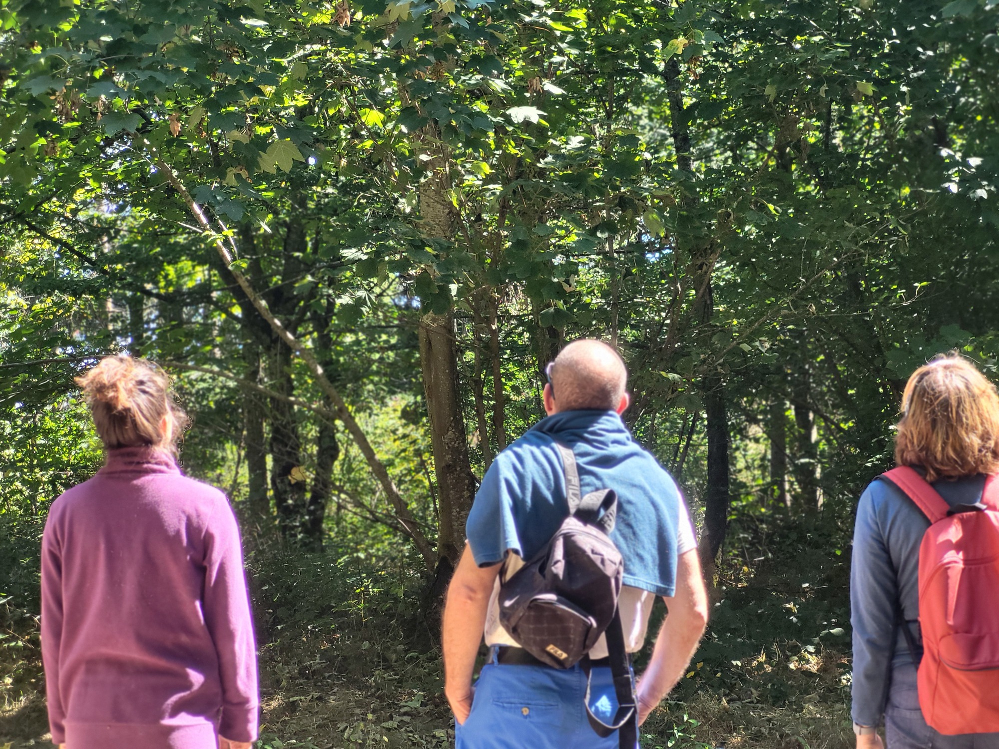 Exploration sensorielle en forêt_Courzieu