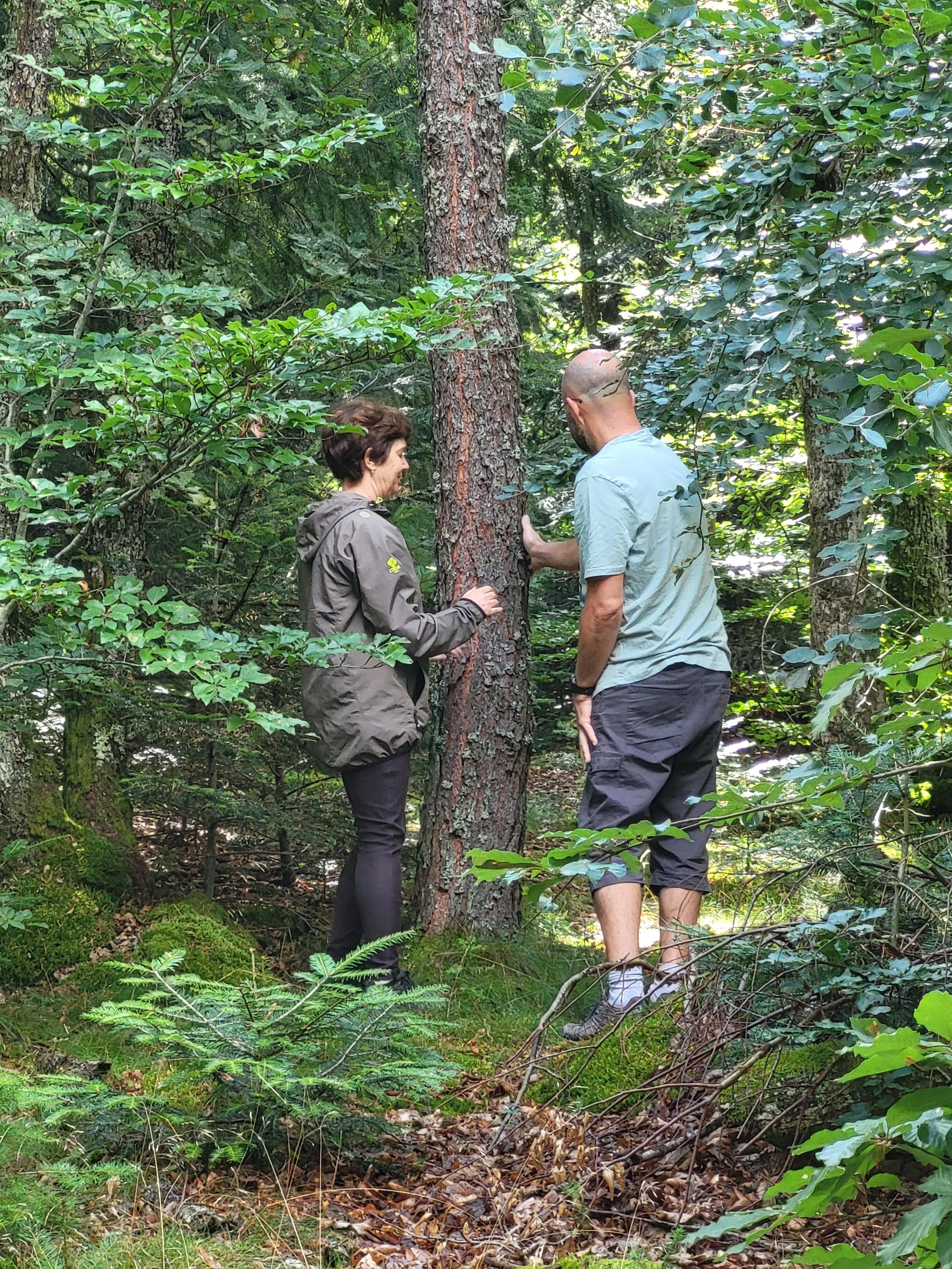Exploration sensorielle en forêt_Courzieu
