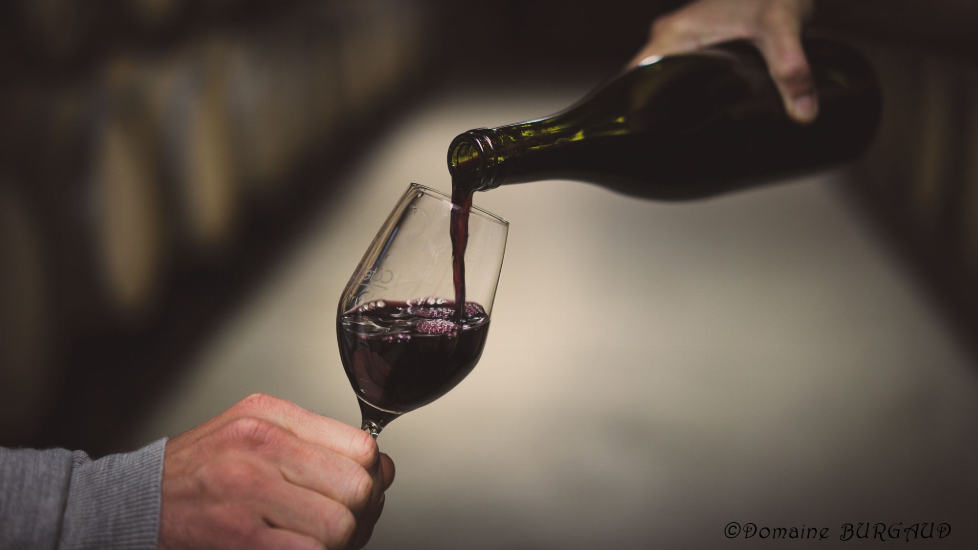 Visite et dégustation au Domaine Burgaud_Ampuis