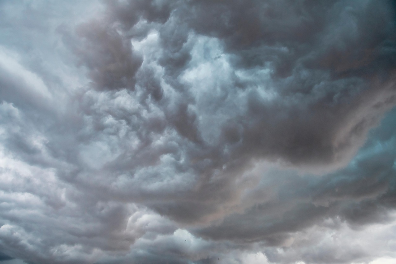 La fresque du climat