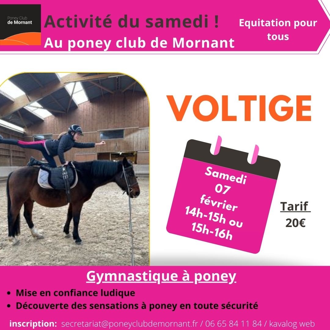 Stage Voltige poneys_Poney Club_Mornant