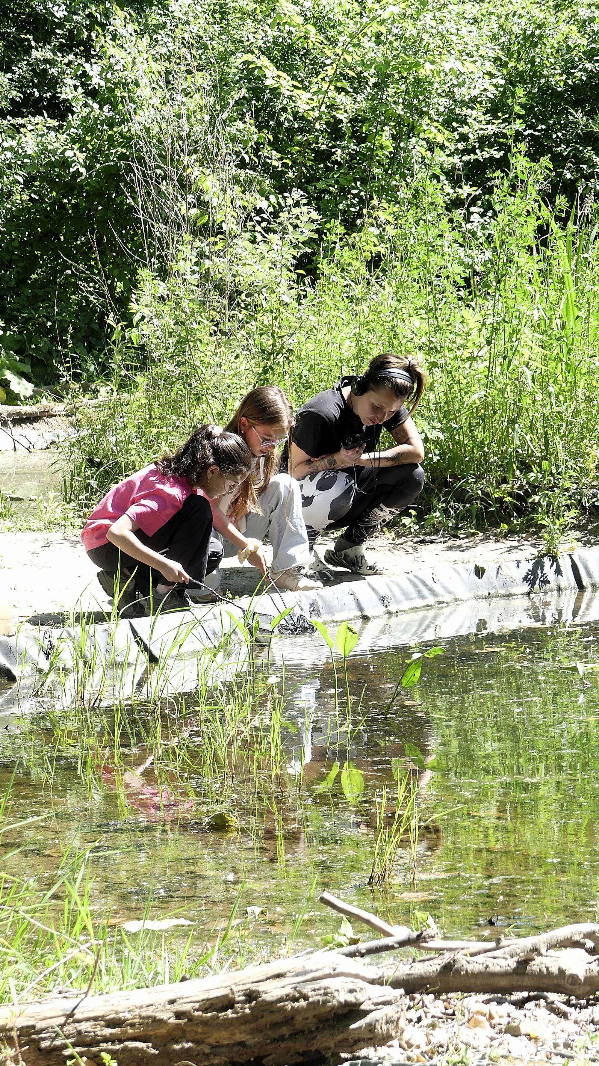 Les habitants de la mare_Tupin-et-Semons